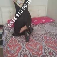 Bafra Escort: Sizlere Benzersiz Bir Deneyim Sunuyor